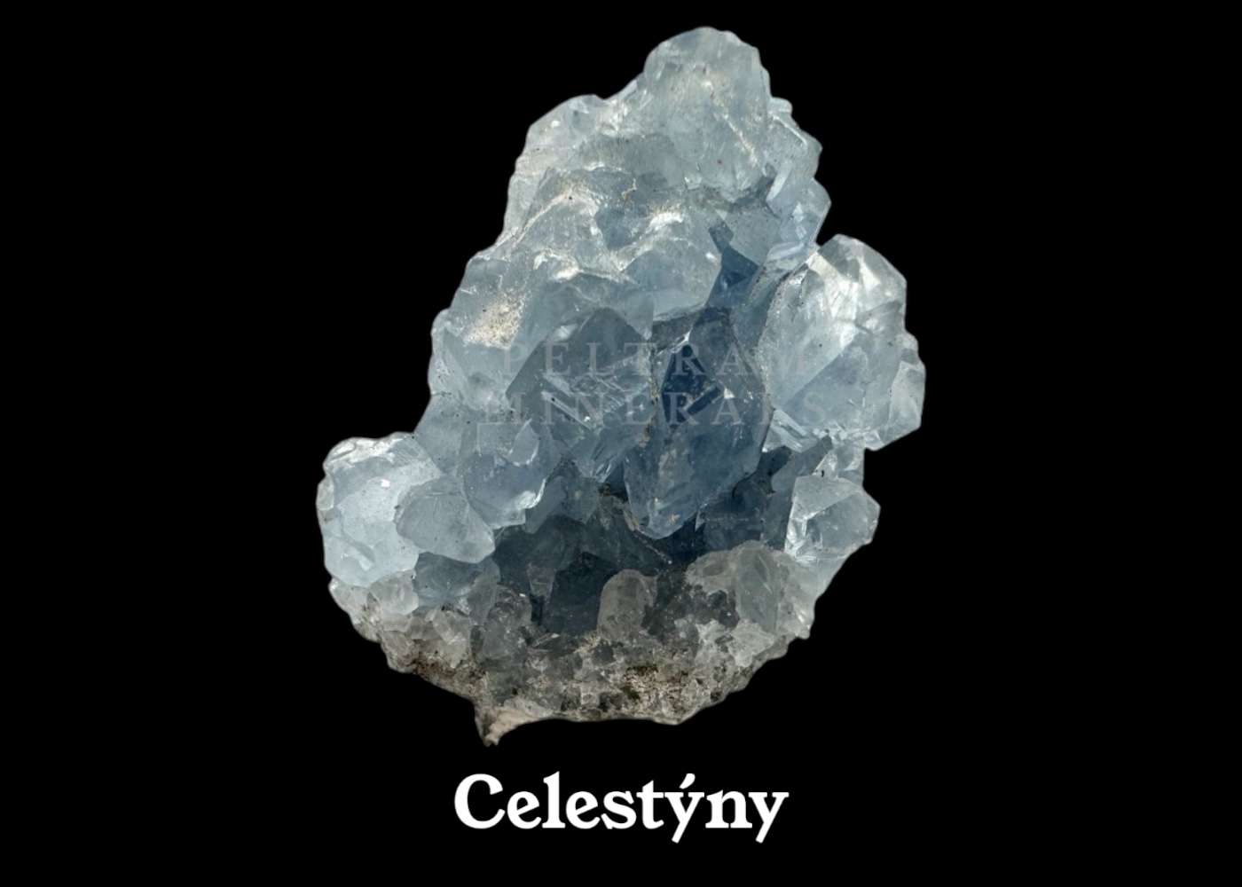 Celestýny